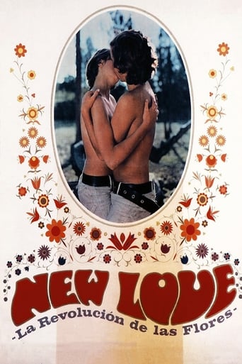 Poster of New Love