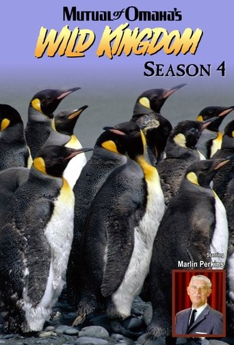 Portrait for Mutual of Omaha's Wild Kingdom - Season 4