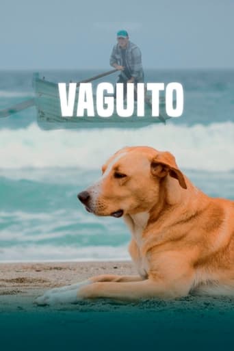 Poster of Vaguito