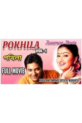 Poster of Pokhila