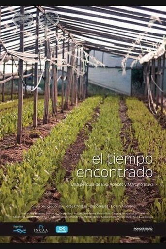 Poster of El tiempo encontrado
