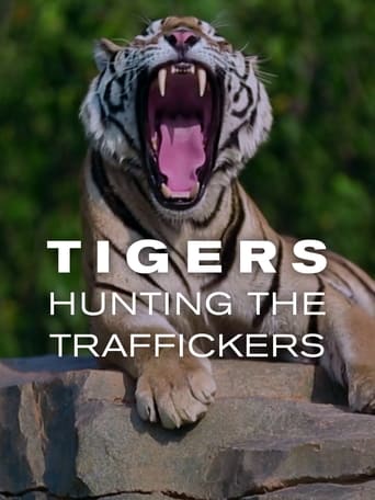 Poster of Tigers: Hunting the Traffickers