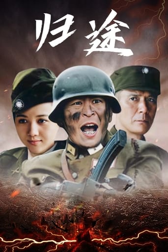 Poster of 归途