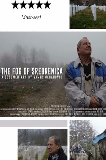 Poster of The Fog of Srebrenica