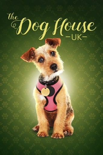 Poster of The Dog House