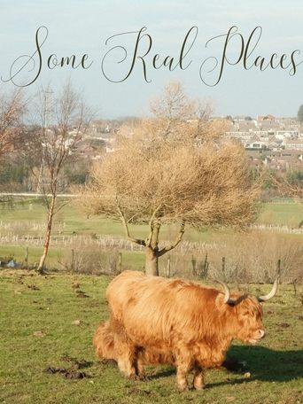 Poster of Some Real Places