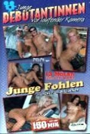 Poster of Junge Debütantinnen 8: Junge Fohlen