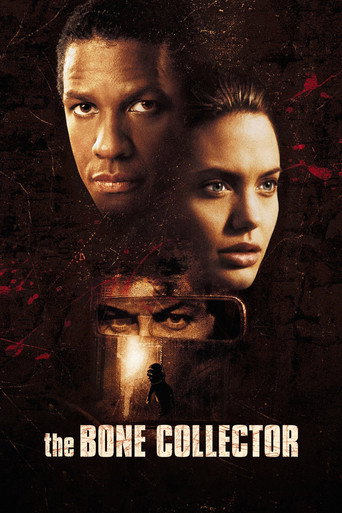 Poster of The Bone Collector