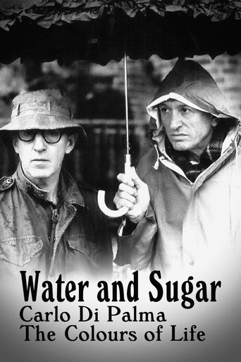 Poster of Water and Sugar: Carlo Di Palma, the Colours of Life