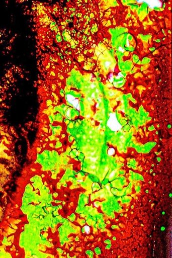 Poster of Embers from Yesterday, Aflame.