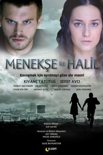 Poster of Menekse and Halil