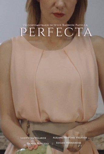 Poster of Perfecta