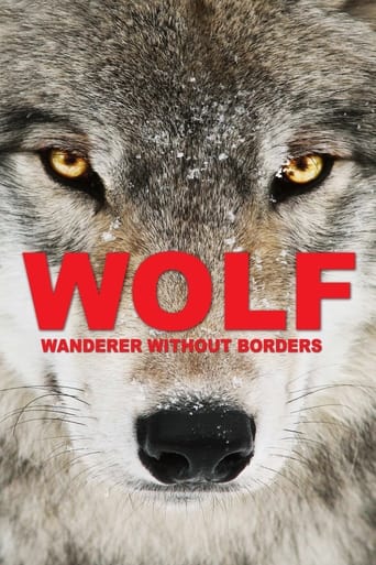 Poster of Wolf: Wanderer Without Borders