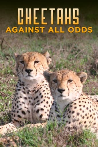 Poster of Cheetahs Against All Odds