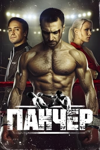 Poster of Puncher