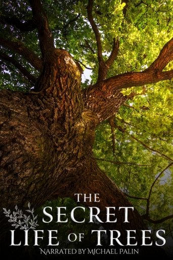 Poster of The Secret Life of Trees