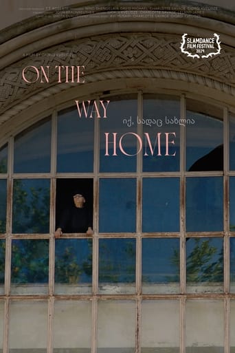 Poster of On the Way Home