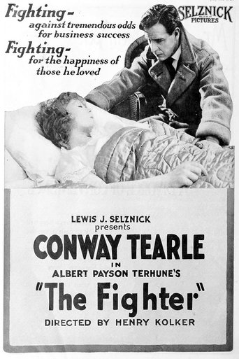 Poster of The Fighter