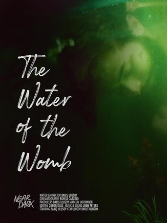 Poster of The Water Of The Womb
