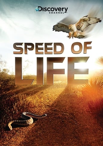 Portrait for Speed of Life - Season 1