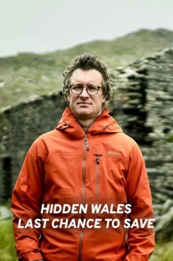 Poster of Hidden Wales: Last Chance to Save