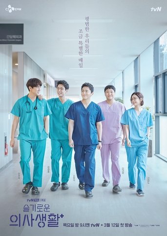 Poster of 슬기로운 의사생활