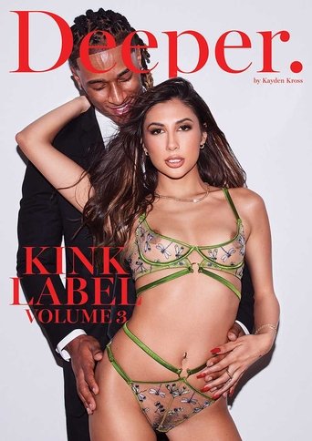 Poster of Kink Label 3