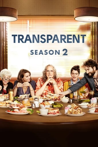 Portrait for Transparent - Season 2