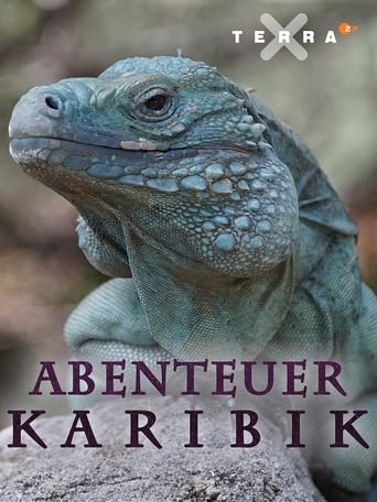 Poster of Abenteuer Karibik