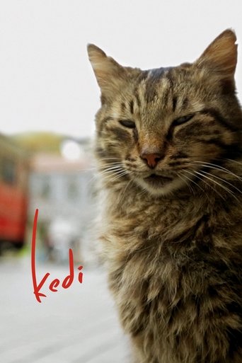 Poster of Kedi