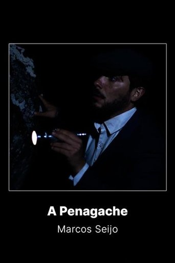 Poster of A Penagache