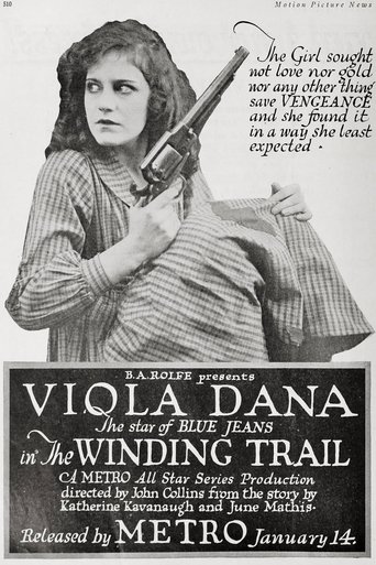 Poster of The Winding Trail