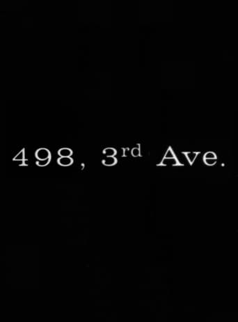 Poster of 498 Third Avenue