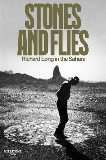 Poster of Stones and Flies: Richard Long in the Sahara