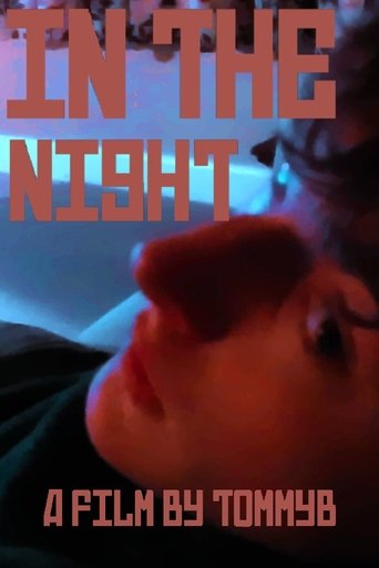 Poster of In The Night