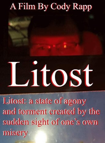 Poster of Litost