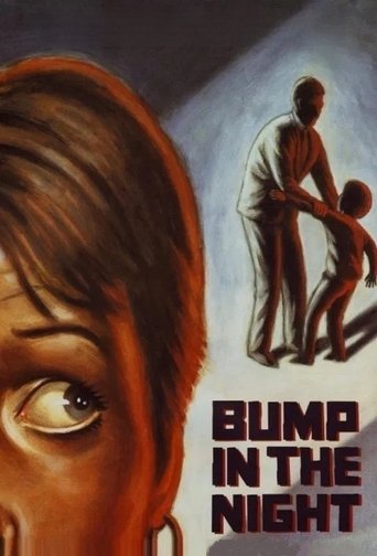 Poster of Bump in the Night