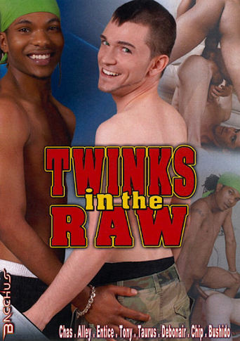 Poster of Twinks in the Raw