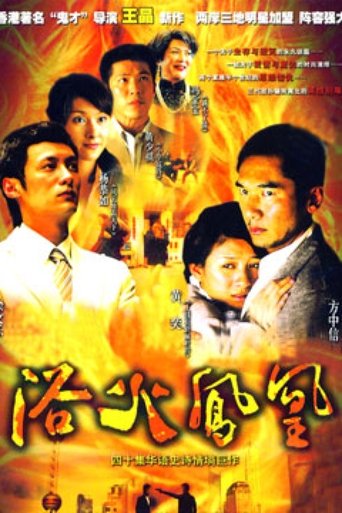 Poster of 浴火凤凰