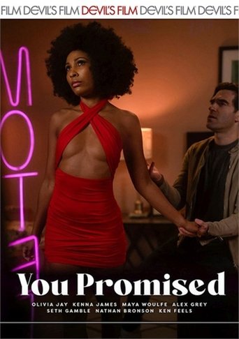 Poster of You Promised