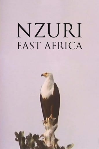 Poster of Nzuri: East Africa