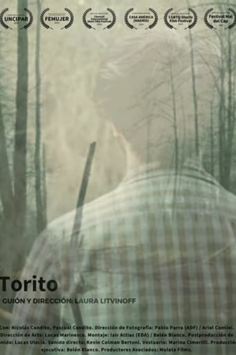 Poster of Torito