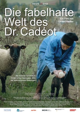 Poster of The Fabulous World of Doctor Cadéot
