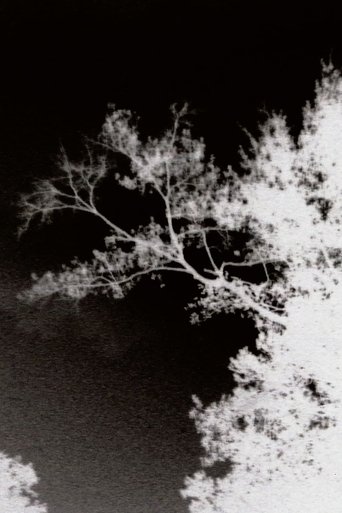 Poster of Gece ve Büyüleri