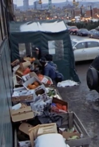 Poster of Surfing the Waste: a Musical Documentary about Dumpster Diving