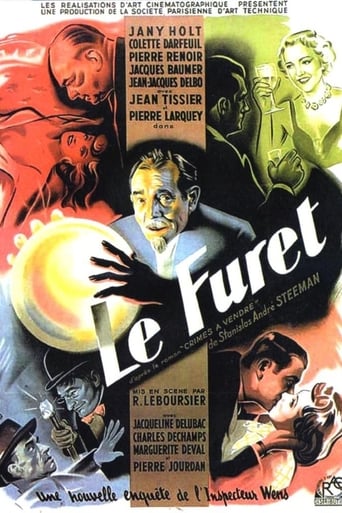 Poster of The Ferret