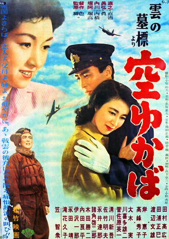 Poster of Flying in the Air