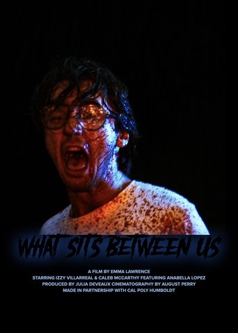 Poster of What Sits Between Us