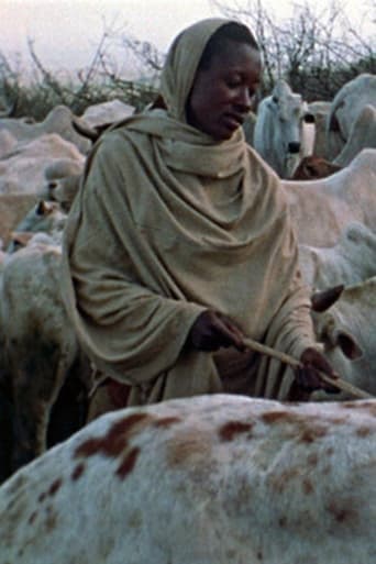 Poster of Boran Herdsmen