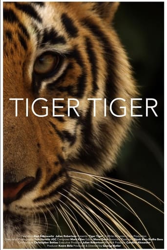 Poster of Tiger Tiger